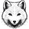 Polar fox
