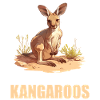 Kängurus Känguru