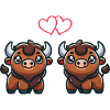 Bison Comic Love