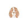 Cocker Spaniel Gifts