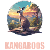 Kangaroos Kangaroo