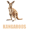 Kängurus Känguru