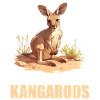 Kängurus Känguru
