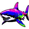 Shark