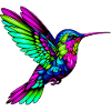 Colibri