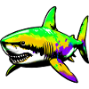 Shark