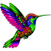 Colibri