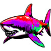 Shark