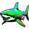 Shark