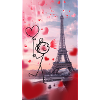 Stick love Paris