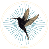 Hummingbird with stars