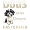 Shih Tzu Dog Owner
