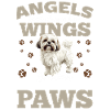 Shih Tzu Dog Owner
