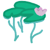 Water Lily
