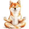 Shiba Inu