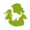 Rex Dinosaurier Reptil