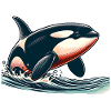 Orca Schwertwal