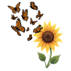 Monarch Butterfly Illustration Graphic