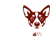 Funny Dog