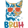 Bruh Cat