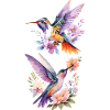 Hummingbird - Delicate, fast, fascinating