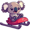 Koala Sledding Sledding