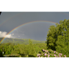 Regenbogen