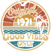 Original 1971 Vintage 1971 Birthday Retro 1971