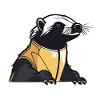 Cute and cool badger