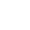 Metzger Evolution