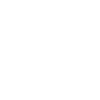 Fencer Drawing