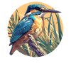 Kingfishers Kingfisher