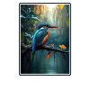 Kingfishers Kingfisher