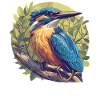 Kingfishers Kingfisher