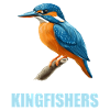 Kingfishers Kingfisher
