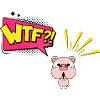 WTF Piggy