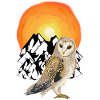 Mountain Owl Nature Wilderness Sunset
