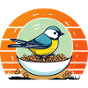 Bird Feeding
