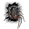 Spinne Halloween Spinnen