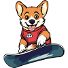 Dog Dog Breed Snowboard