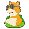 Fox Sunglasses