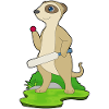 Suricate Cricket Battes de cricket