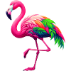 Flamingo