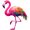 Flamingo