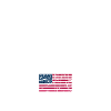 USA Flag