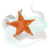 Starfish