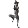 Deutsche Dogge