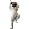 Mops