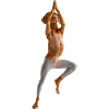 Vizsla