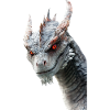 Drachen